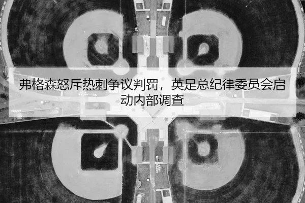 fu-ge-sen-nu-chi-re-ci-zheng-yi-pan-fa-ying-zu-zong-ji-lv-wei-yuan-hui-qi-dong-nei-bu-diao-cha-2-910.jpg